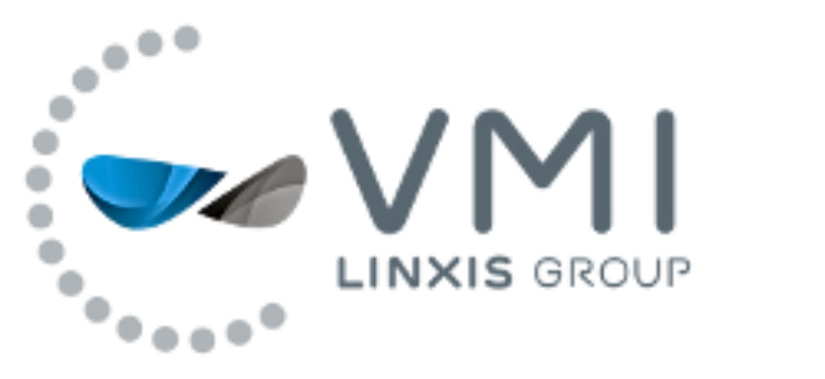 DFSBE_vmi-logo